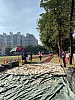 IMG_4399.jpg IMG_4399.jpg