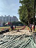 IMG_4400.jpg IMG_4400.jpg