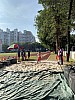 IMG_4401.jpg IMG_4401.jpg