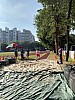 IMG_4405.jpg IMG_4405.jpg