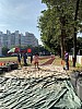 IMG_4406.jpg IMG_4406.jpg