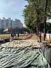 IMG_4407.jpg IMG_4407.jpg