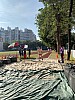 IMG_4408.jpg IMG_4408.jpg