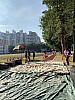 IMG_4409.jpg IMG_4409.jpg