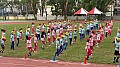113-04002.jpg 113-04002.jpg