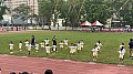 113-04046.jpg 113-04046.jpg