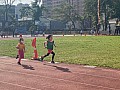 113_c03202.jpg 113_c03202.jpg