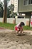 b03_062.jpg