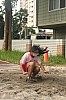 b03_068.jpg