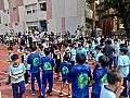 b04_229.jpg
