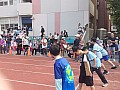 b04_236.jpg