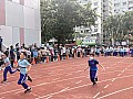 b04_260.jpg