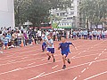 b04_270.jpg