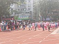b04_355.jpg