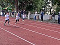 dw0_008.jpg