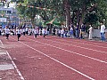 dw0_009.jpg