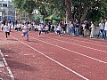 dw0_016.jpg