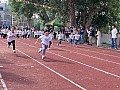 dw0_017.jpg