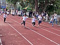 dw0_021.jpg