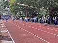 dw1_005.jpg