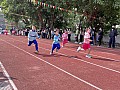 dw1_009.jpg