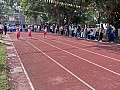 dw1_012.jpg