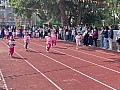 dw1_035.jpg