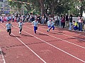dw1_041.jpg
