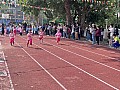 dw1_047.jpg