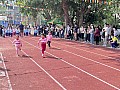 dw1_049.jpg