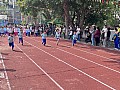 dw1_051.jpg