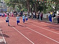 dw1_055.jpg
