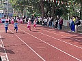 dw1_056.jpg
