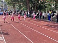 dw1_059.jpg