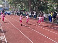 dw1_061.jpg