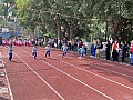 dw1_067.jpg
