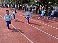 dw1_075.jpg