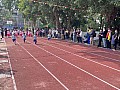 dw1_078.jpg