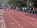 dw1_080.jpg