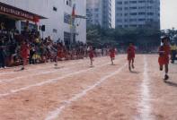 p33.jpg