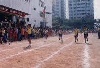 p35.jpg