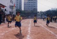 p36.jpg