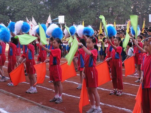 050.jpg