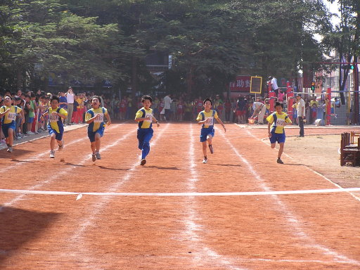 154.jpg