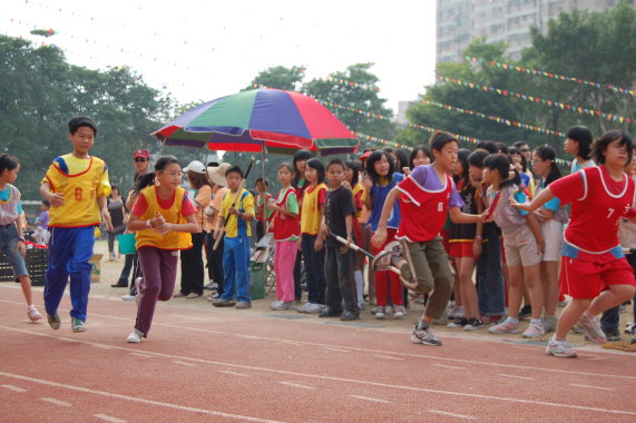 433.jpg