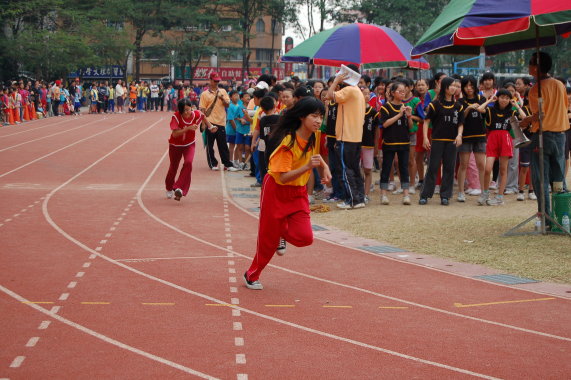 492.jpg