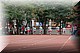 DSC_0581.JPG