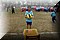 DSC_4918.JPG