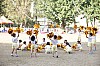 DSC01567.jpg