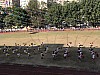 IMG_0539.jpg